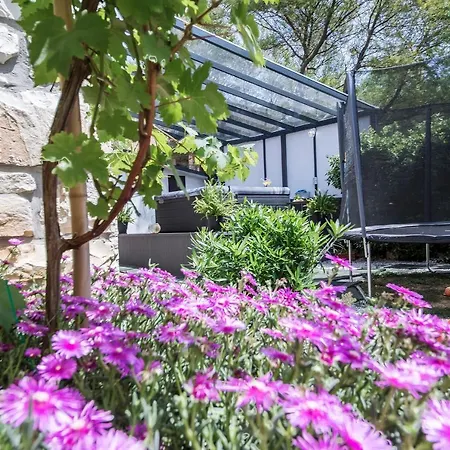 Villa Greenhouse Unna With Heated Pool Medulin